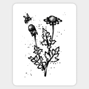 Herbs with Bee Sticker